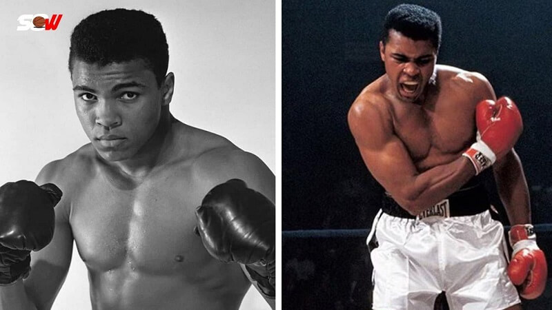 Top 10 Boxing Champions in the World of All Time