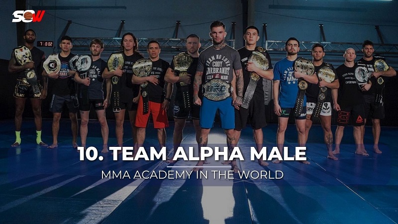 Top 10 Best MMA Academy in the World Right Now